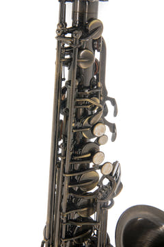 Roy Benson Eb-Altsaxophon Roy Benson AS-202A - AS-202A