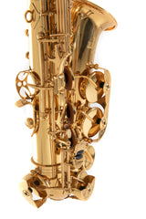 Roy Benson Eb-Altsaxophon Roy Benson AS-302 - AS-302