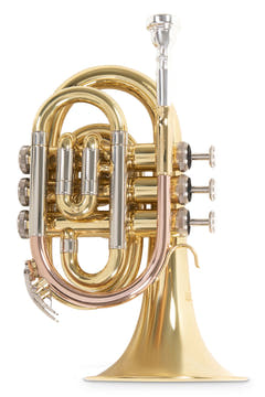 Roy Benson Bb-Pocket Trompete Roy Benson PT-302 - PT-302