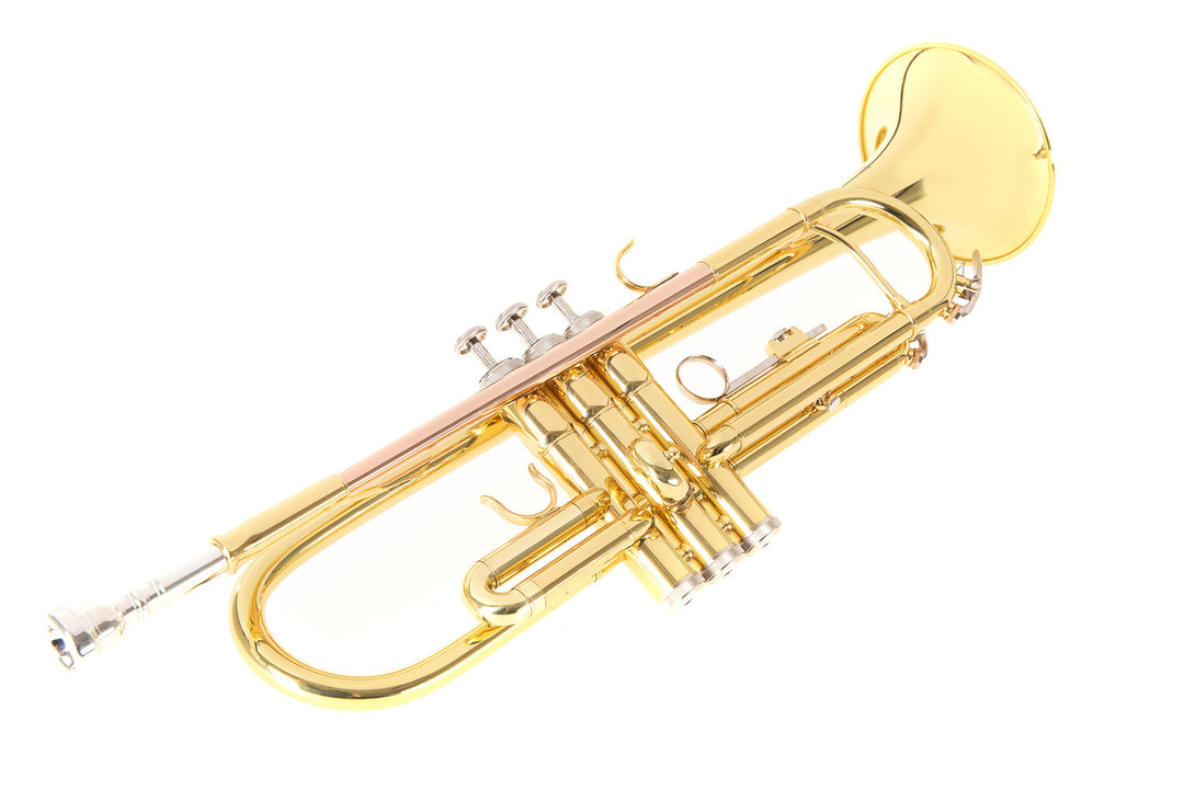 Roy Benson Bb-Trompete Roy Benson TR-101 - TR-101