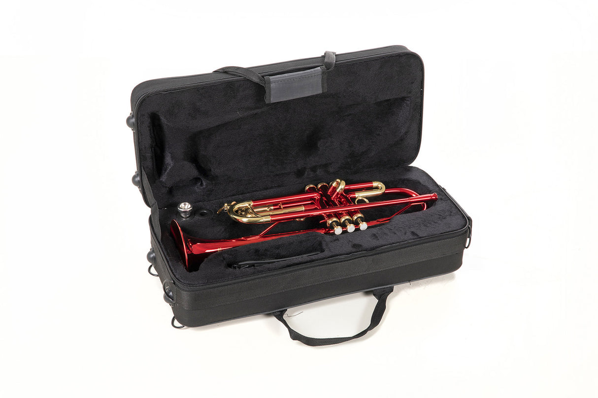 Roy Benson Bb-Trumpet Roy Benson TR-101R - TR-101R