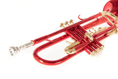 Roy Benson Bb-Trompete Roy Benson TR-101R - TR-101R