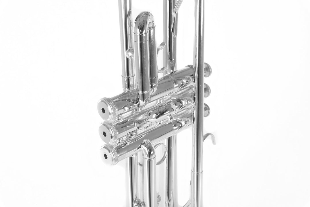 Roy Benson Bb-Trompete Roy Benson TR-202S - TR-202S