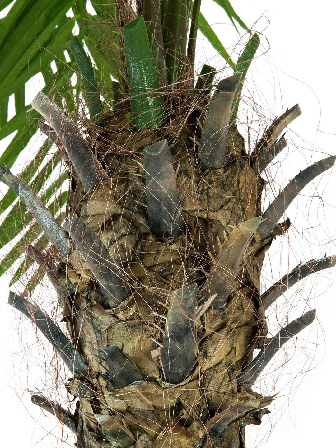 Künstliche Phoenix Palme Luxor (300cm)