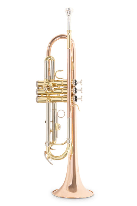 Roy Benson Bb-Trompete Roy Benson TR-202G - TR-202G