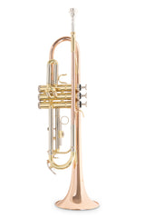 Roy Benson Bb-Trompete Roy Benson TR-202G - TR-202G