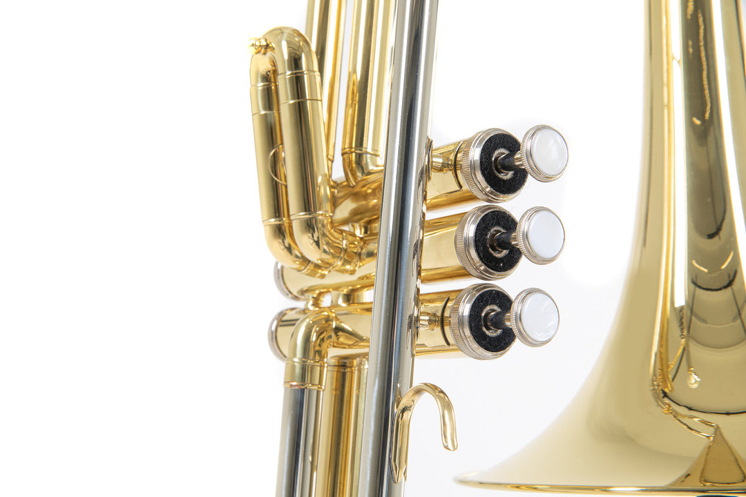 Roy Benson Bb-Ventil Posaune Roy Benson VT-227 - VT-227