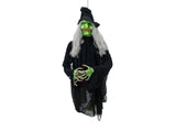 Halooween animated flyvende witch