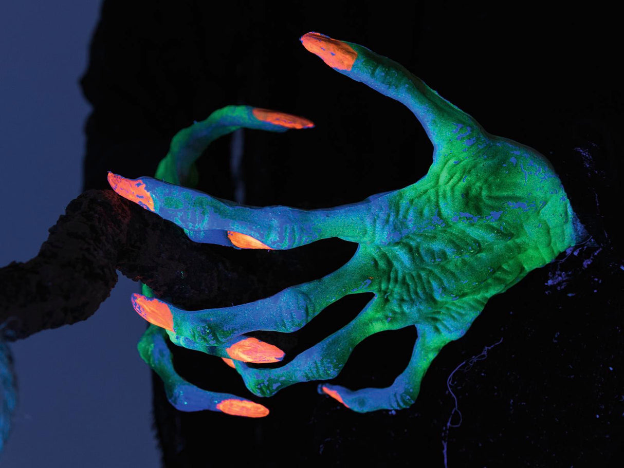 Halooween animated flyvende witch