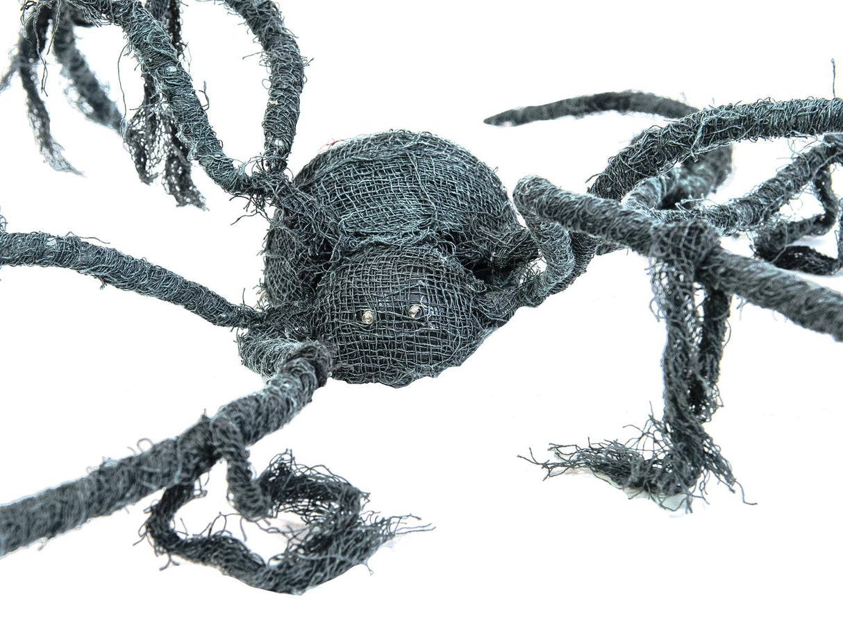 Halloween animated spider