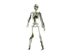 Halloween-Skelett mit Moos, 40 cm