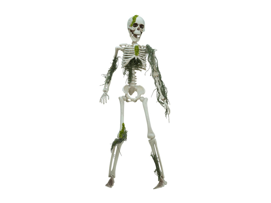 Halloween-Skelett mit Moos, 40 cm