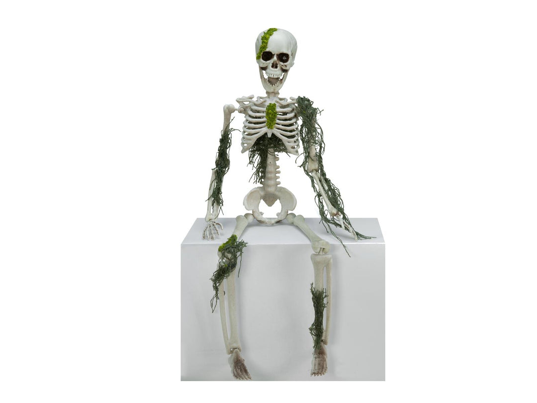 Halloween-Skelett mit Moos, 40 cm