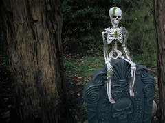 Halloween-Skelett mit Moos, 40 cm