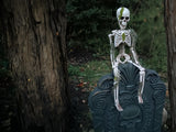 Halloween-Skelett mit Moos, 40 cm