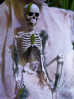 Halloween-Skelett mit Moos, 40 cm