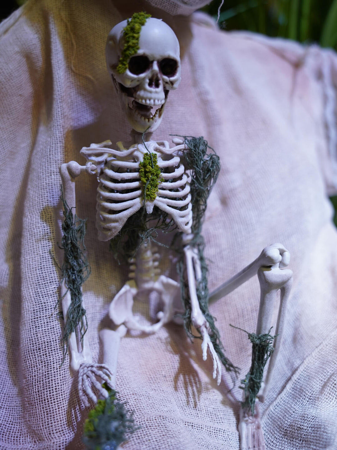 Halloween-Skelett mit Moos, 40 cm