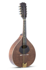 GEWA Flache Mandoline Pro Arte Antique - Antique