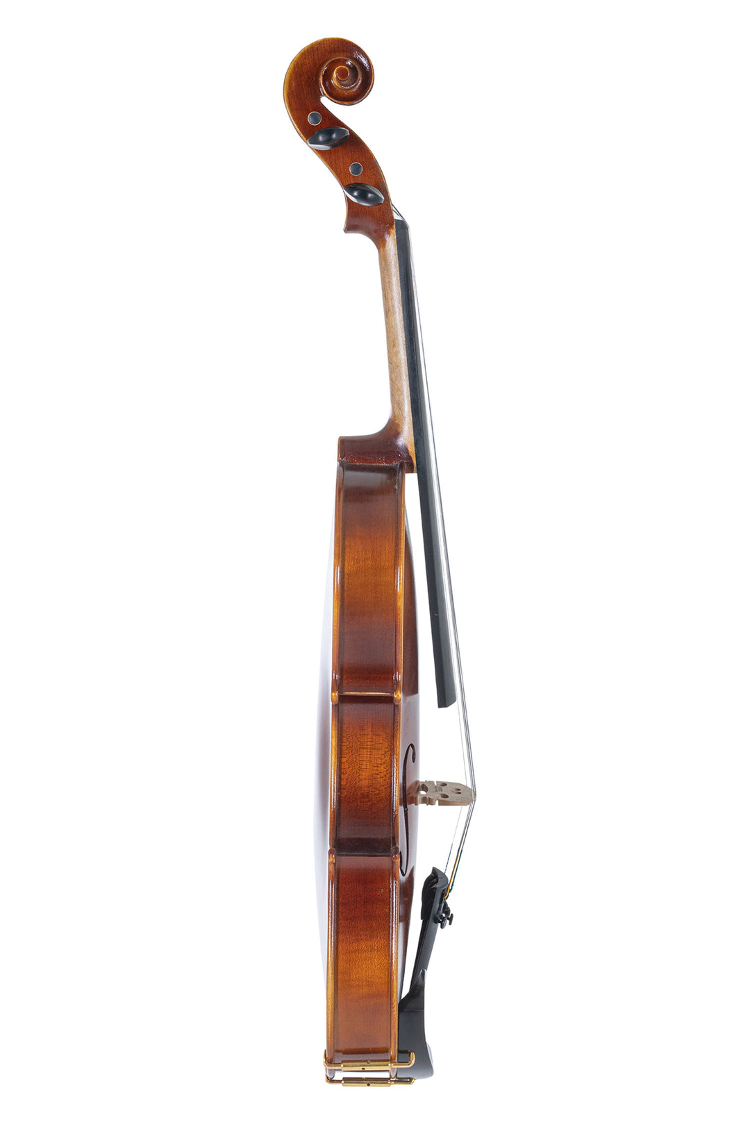 GEWA Geigen Allegro - 4/4 (Spielbereit inkl. geformtem case, Massaranduba Bogen, Larsen Aurora Saiten, transportsicher)