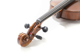 GEWA Konzertbratsche Germania - Modell Prag antik 39,5 cm (Spielbereit)