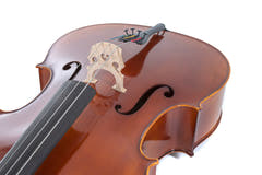 GEWA Allegro cello 1/16, eingerichtet