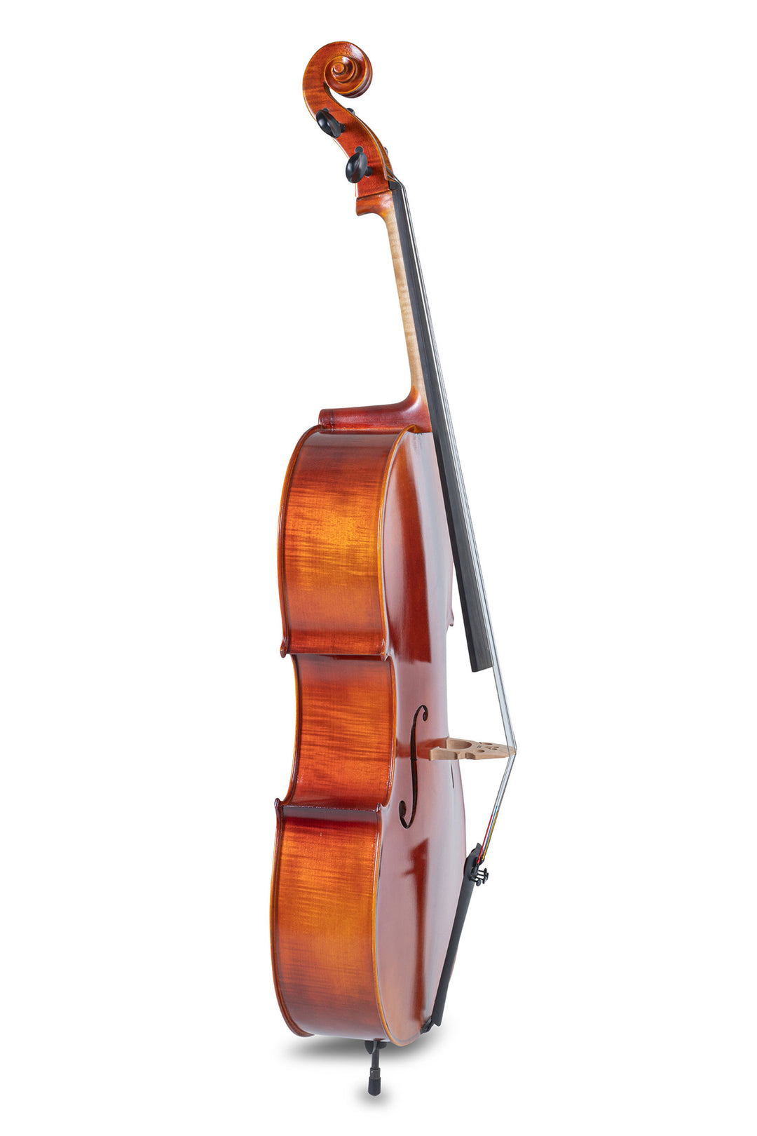 GEWA Cello Ideale - 1/2 (Spielbereit inkl. bag, Massaranduba-Bogen, Larsen Aurora Saiten, transportsicher)