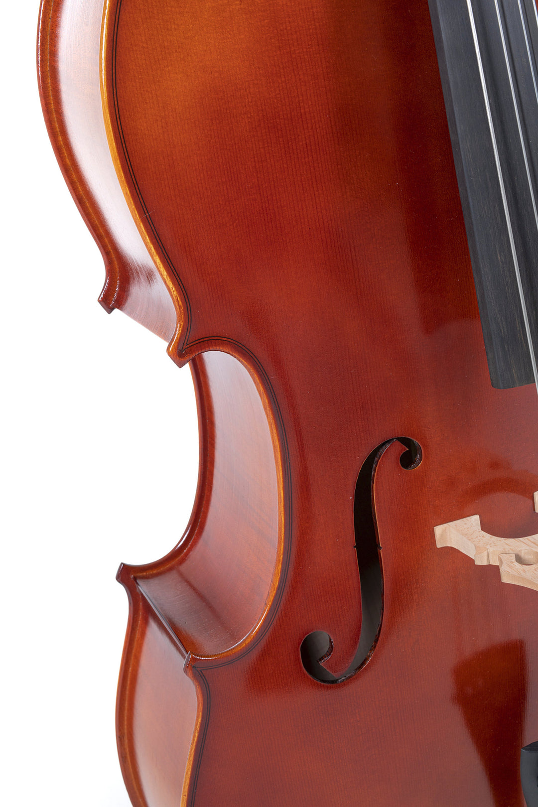 GEWA Cello Ideale - 4/4 (Spielbereit inkl. bag, Massaranduba-Bogen, Larsen Aurora Saiten, transportsicher)