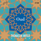 Thomastik-Infeld Oud-Saiten - Set 10-saitig Dw (315A)