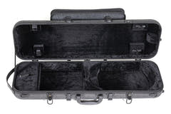 GEWA Geigen case Bio I S - 4/4