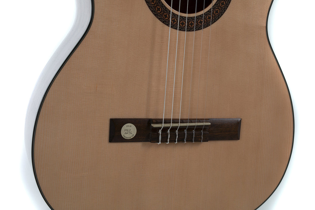 GEWA Klassische Gitarren Pro Arte GC 210 A - 4/4 Größe