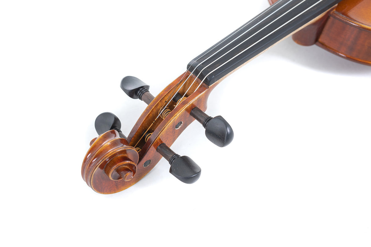 GEWA Violin Maestro 1 - 1/2 (Ready to play incl. shaped case, Massaranduba bow and Larsen Aurora strings, transport-secured)