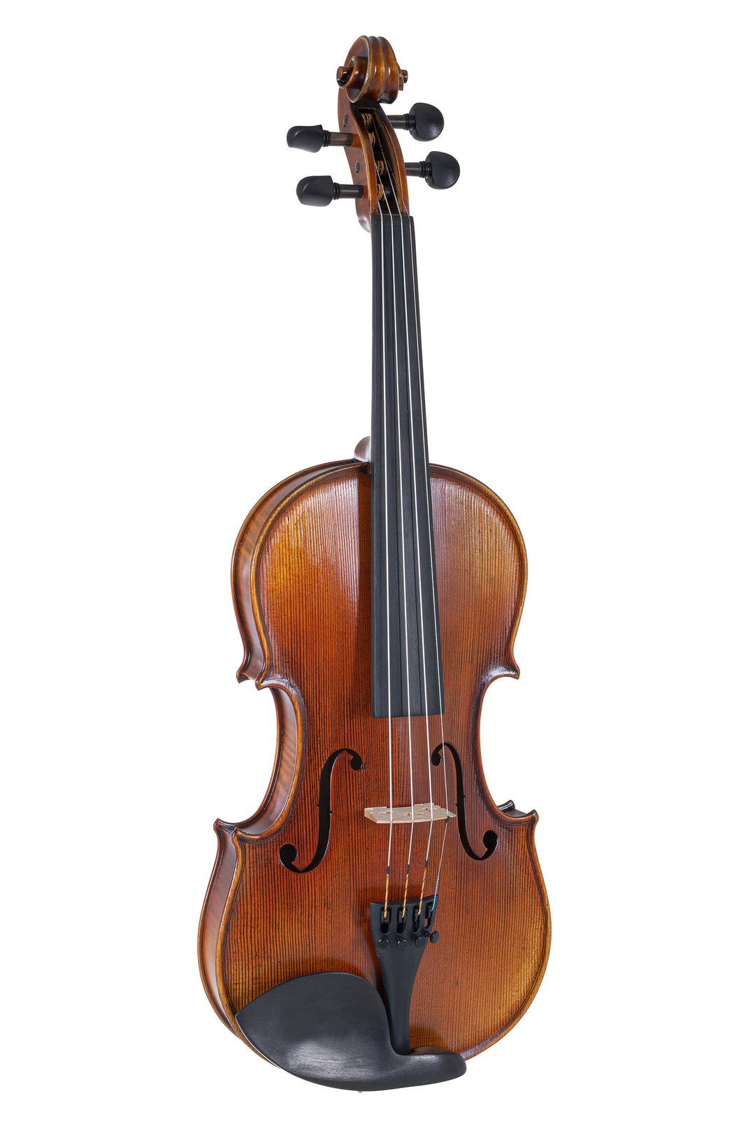 GEWA Geigen Maestro 2 - 3/4 (Spielbereit inkl. geformtem case, Massaranduba-Bogen und Larsen Aurora-Saiten, transportsicher)