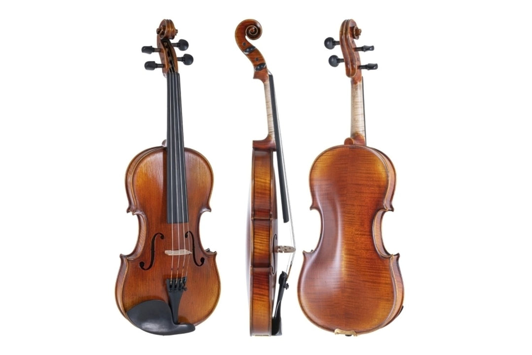 GEWA Geigen Maestro 2 - 3/4 (Spielbereit inkl. geformtem case, Massaranduba-Bogen und Larsen Aurora-Saiten, transportsicher)