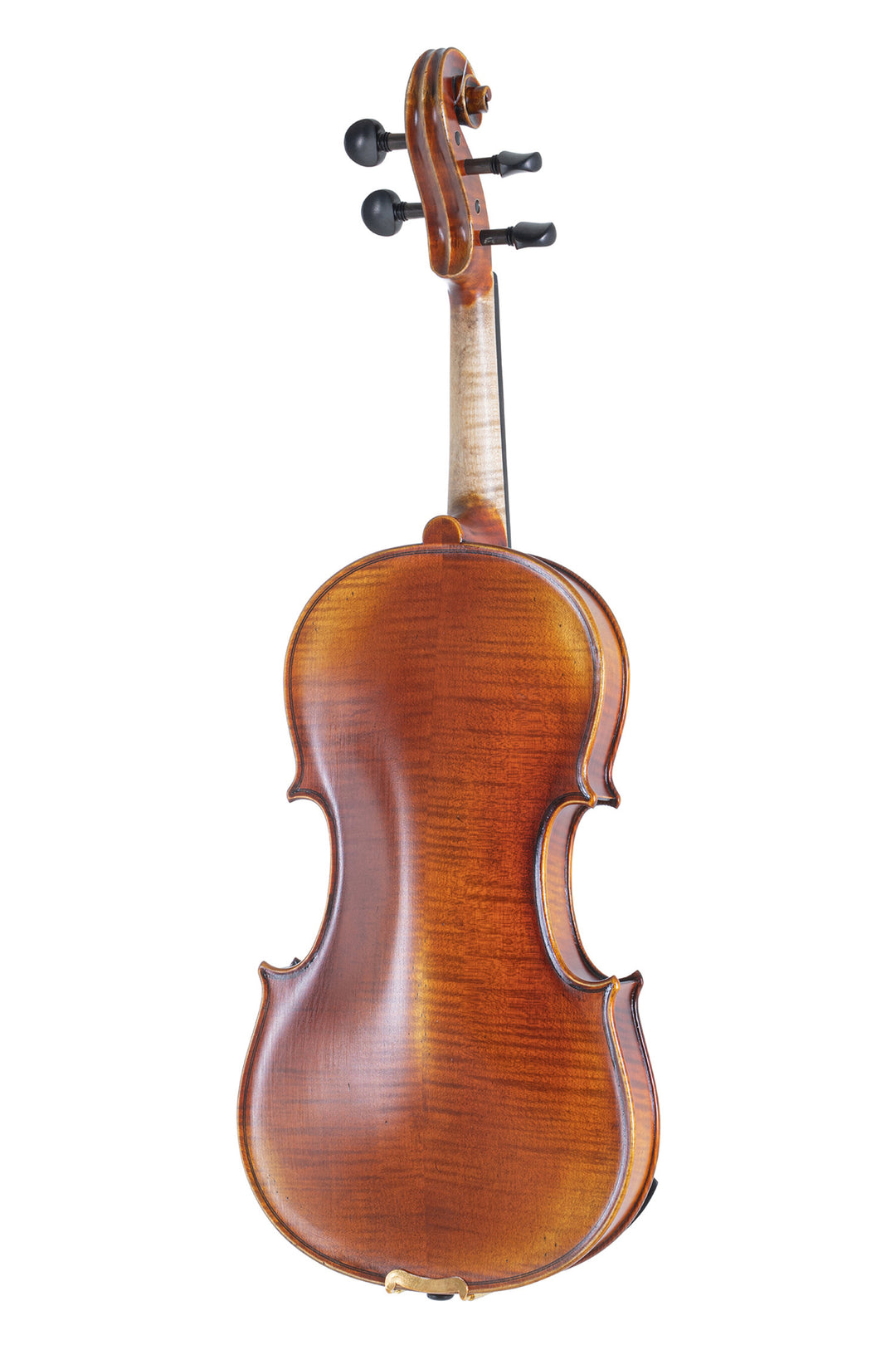 GEWA Geigen Maestro 2 - 1/2 (Spielbereit inkl. geformtem case, ohne Bogen, mit Larsen Aurora Saiten)