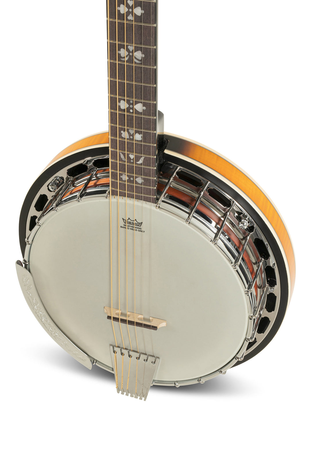 GEWA Banjo Premium - 6-saitig (mit case)