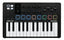 Arturia MiniLab 3 MIDI-Keyboard (Schwarz)