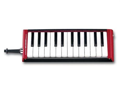 Suzuki Bass Melodica B-24C - 24 Tasten