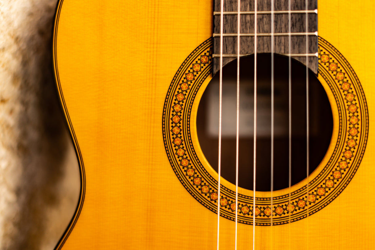 Yamaha CGX122MS Classical Spanish Guitar (Spruce Natural)