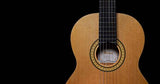 Pearl River CL20 Klassische Gitarre