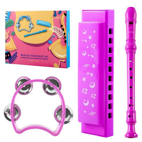 Harmonikas, Recorders und Tamburin-Set in Pink.
