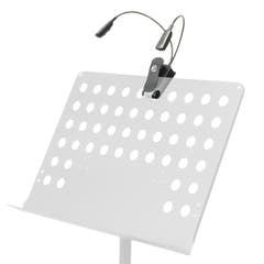 Doppelte Schwanenhals Notenlampen