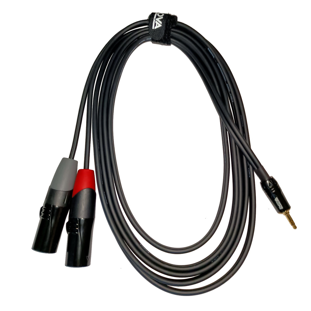 Enova Adapterkabel MiniJack > 2 x XLR-Stecker, 1 Meter