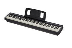Roland FP-10 Starter Kit