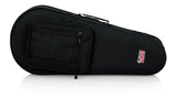 Gator GL-MANDOLIN case