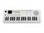 Grooveland E237 Keyboard (Cremeweiß)