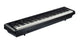 Grooveland P450 E-Piano (Schwarz)