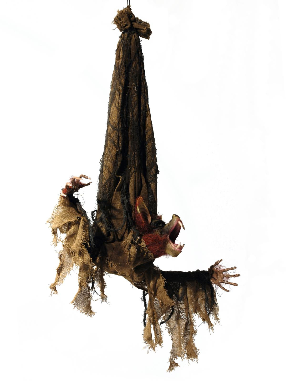Halloween bat, animered