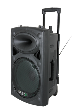 Ibiza Tragbarer Lautsprecher mit 15" Bass (Schwarz, 800W)