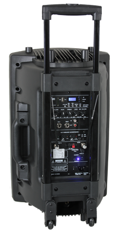 Ibiza Tragbarer Lautsprecher mit 15" Bass (Schwarz, 800W)