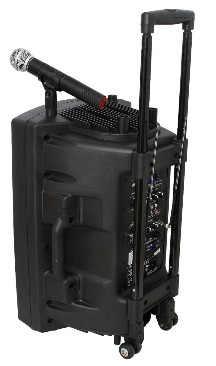 Ibiza portable 15" speaker with USB, Bluetooth & microphones